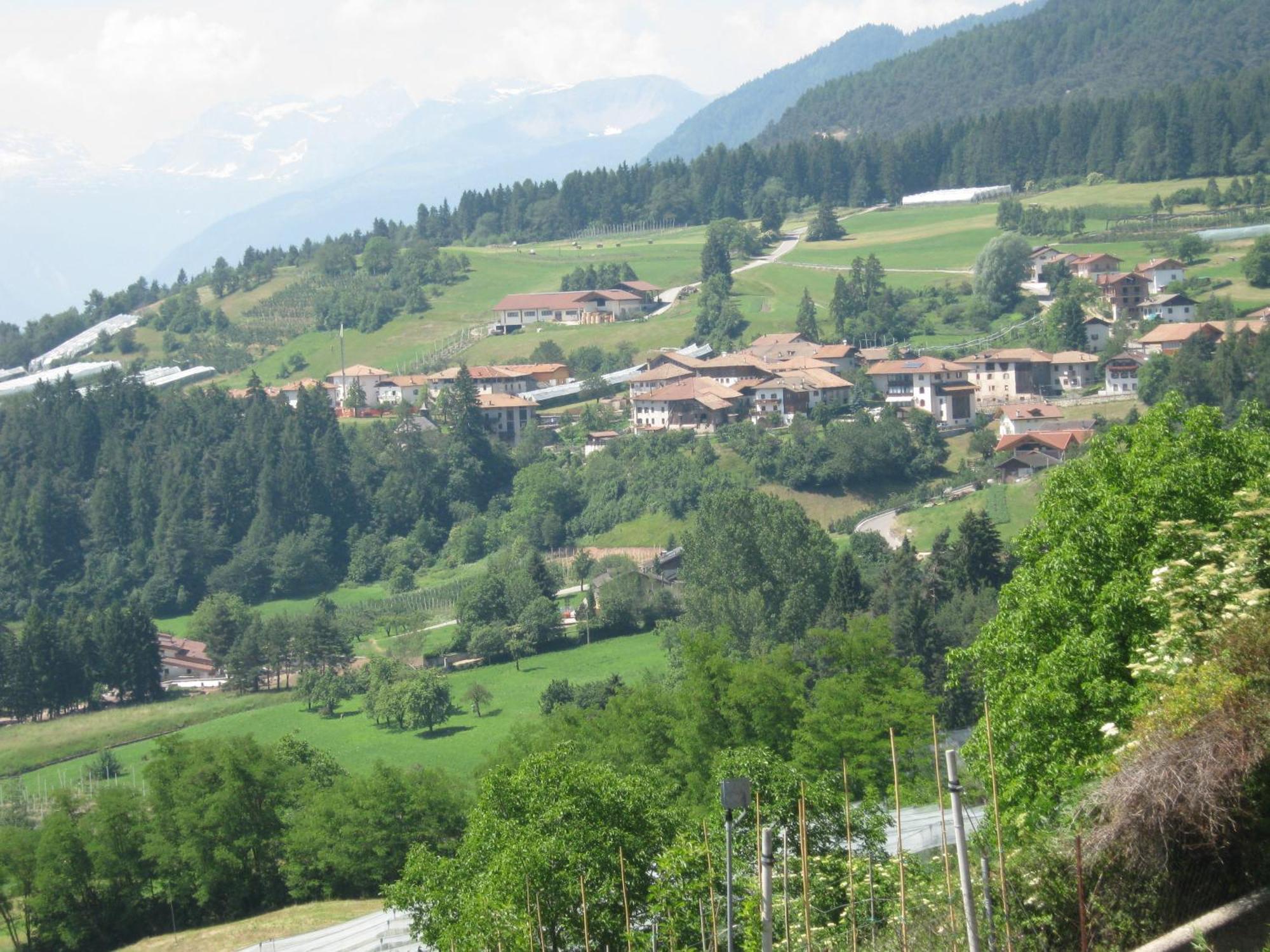 Agriturismo Pisani Brez Dış mekan fotoğraf